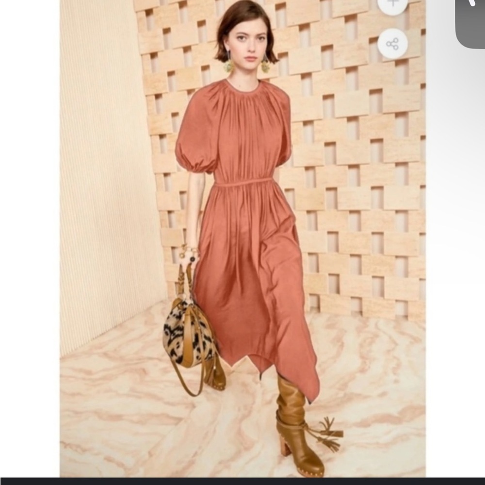 Ulla Johnson Rust Maxi Dress